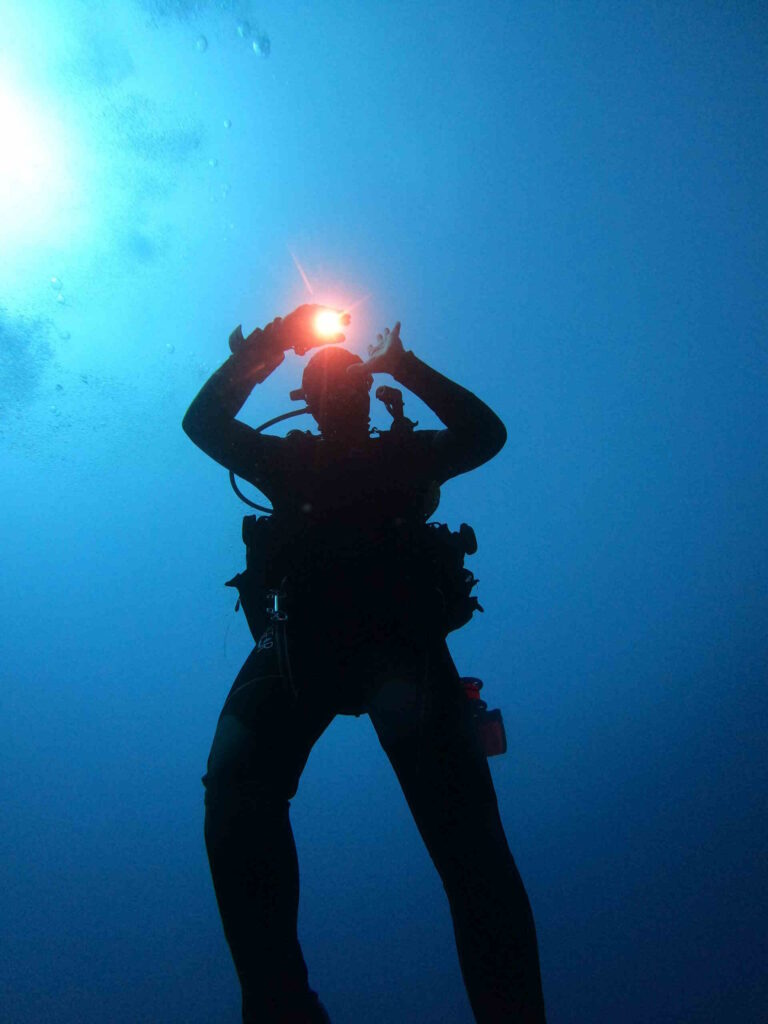 Bild eines Gerätetauchers mit Unterwasserlampe im Freiwasser.
